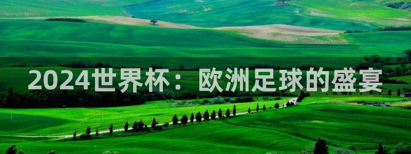 世界杯预选赛亚洲区积分榜：2024世界杯：欧洲足球的盛宴