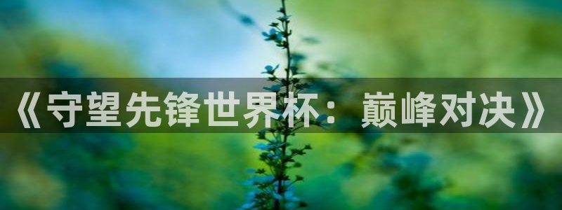 男足世界杯预选赛赛程：《守望先锋世界杯：巅峰对决》