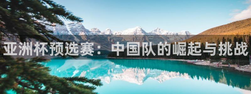 世界杯预选赛：亚洲杯预选赛：中国队的崛起与挑战