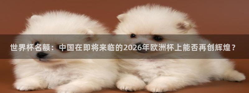 足球世界杯：世界杯名额：中国在即将来临的2026年欧洲杯上能否再创辉煌？
