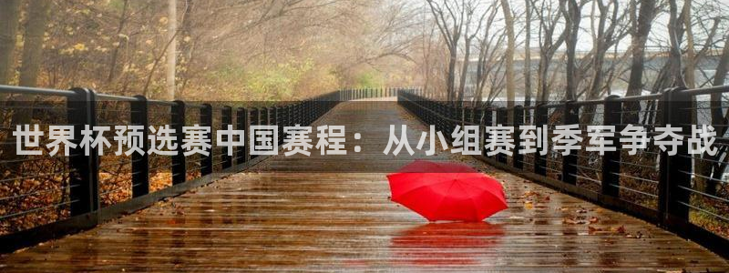 英格兰联赛杯直播：世界杯预选赛中国赛程：从小组赛到季军争夺战