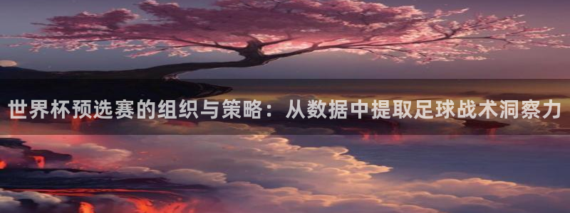 世界杯2026赛程：世界杯预选赛的组织与策略：从数据中提取足球战术洞察力