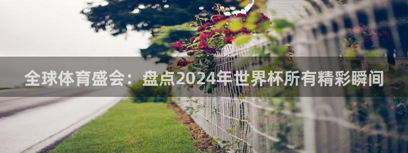 2026年世界杯时间表：全球体育盛会：盘点2024年世界杯所有精彩瞬间