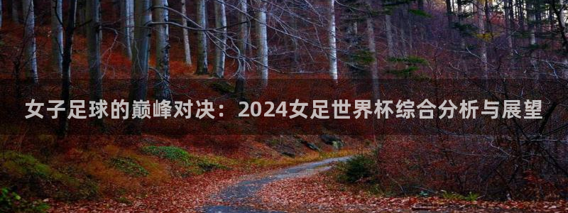 2026世界杯买球：女子足球的巅峰对决：2024女足世界杯综合分析与展望