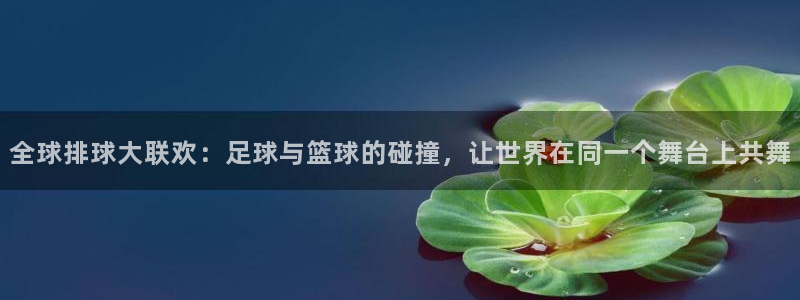 世界杯球队排名：全球排球大联欢：足球与篮球的碰撞，让世界在同一个舞台上共舞